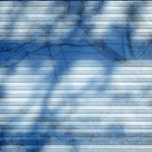 Load image into Gallery viewer, Branching, Contemporary Photographic Resin Art, Mixed-Media