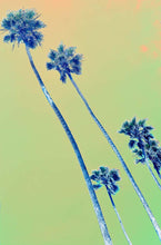 Load image into Gallery viewer, Los Angeles Palisades in Technicolor, Contemporary Color Photography