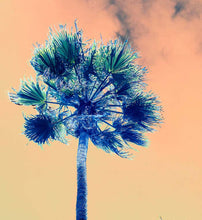 Load image into Gallery viewer, Los Angeles Palisades in Technicolor, Contemporary Color Photography