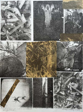 Load image into Gallery viewer, Waking Dream by Roberta Fineberg, Monochrome Mixed-Media Work on Paper