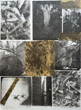 Load image into Gallery viewer, Waking Dream by Roberta Fineberg, Monochrome Mixed-Media Work on Paper
