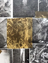 Load image into Gallery viewer, Waking Dream by Roberta Fineberg, Monochrome Mixed-Media Work on Paper