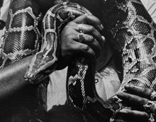 Load image into Gallery viewer, New York Python by Roberta Fineberg, Classic Black and White Photography 1990s