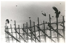 Load image into Gallery viewer, Nayoro by Masahisa Fukase, Contemporary Japanese Photography, Black-and-White Limited Edition