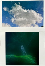 Load image into Gallery viewer, Someone to Watch Over You by Roberta Fineberg, Photo Diptych