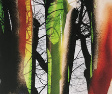 Load image into Gallery viewer, Joy of Color by Yasuhiro Ishimoto, Asia, Contemporary Color Japanese Photography, Limited Edition