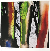 Load image into Gallery viewer, Joy of Color by Yasuhiro Ishimoto, Asia, Contemporary Color Japanese Photography, Limited Edition