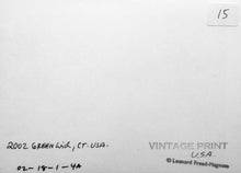 Load image into Gallery viewer, Dogs, USA, Greenwich, CT by Leonard Freed, Black-and-White Small Photograph of Pets