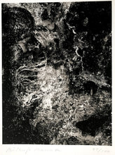 Load image into Gallery viewer, Contemporary Japanese Photography, A Limited Edition Portfolio