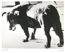 Load image into Gallery viewer, Contemporary Japanese Photography, A Limited Edition Portfolio