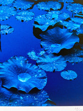 Load image into Gallery viewer, Blue Lotus, Japan by Tadayuki Naito, Contemporary Japanese Color Photography