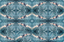 Load image into Gallery viewer, Double Helix by Roberta Fineberg, Contemporary Photography, Framed