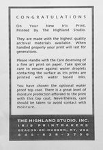 Load image into Gallery viewer, Muscle Boy by Leonard Freed, Harlem, Black-and-White Photography of African American Children 1960s