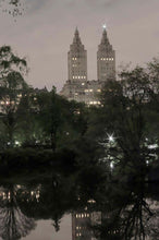 Load image into Gallery viewer, Twin Greek Temples (Night) by Roberta Fineberg, After Dark in New York City