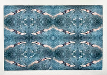 Load image into Gallery viewer, Double Helix by Roberta Fineberg, Contemporary Photography Inspired by Abstract Painting
