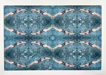 Load image into Gallery viewer, Double Helix by Roberta Fineberg, Contemporary Photography, Framed