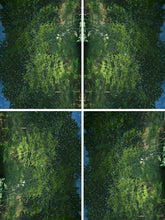 Load image into Gallery viewer, Puppy by Roberta Fineberg, Conceptual Photography of Animal Faces