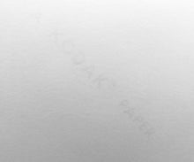 Load image into Gallery viewer, NASA Gemini 4 Astronaut Ed White Spacewalk 1960s Above the Pacific Ocean, Kodak Paper