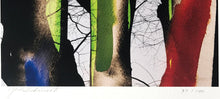 Load image into Gallery viewer, Joy of Color by Yasuhiro Ishimoto, Asia, Contemporary Color Japanese Photography, Limited Edition