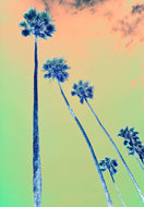 Los Angeles in Technicolor by Roberta Fineberg (RF), Contemporary Travel Photography