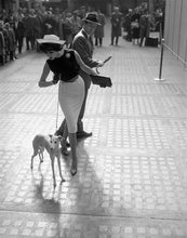Load image into Gallery viewer, Whippet by William Helburn, Penn Station, New York City 1959
