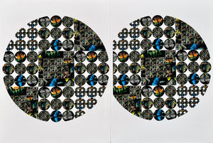 Butterfly telescope, 2022 by Roberta Fineberg, Contemporary Art Photography