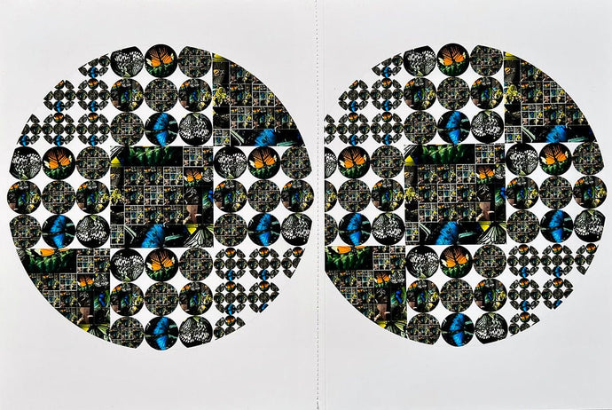 Butterfly telescope, 2022 by Roberta Fineberg, Contemporary Art Photography