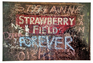 Strawberry Fields by Martin Parr, Contemporary Color Photograph of Beatlemania, Liverpool, England