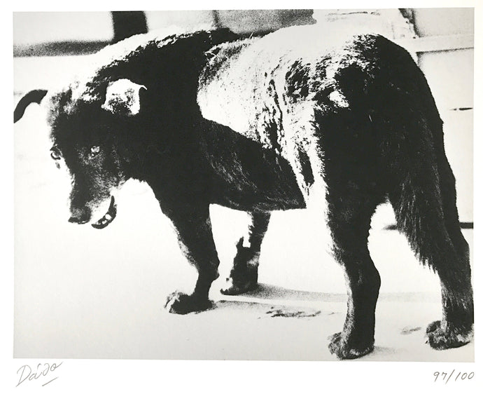 Contemporary Japanese Photography, A Limited Edition Portfolio