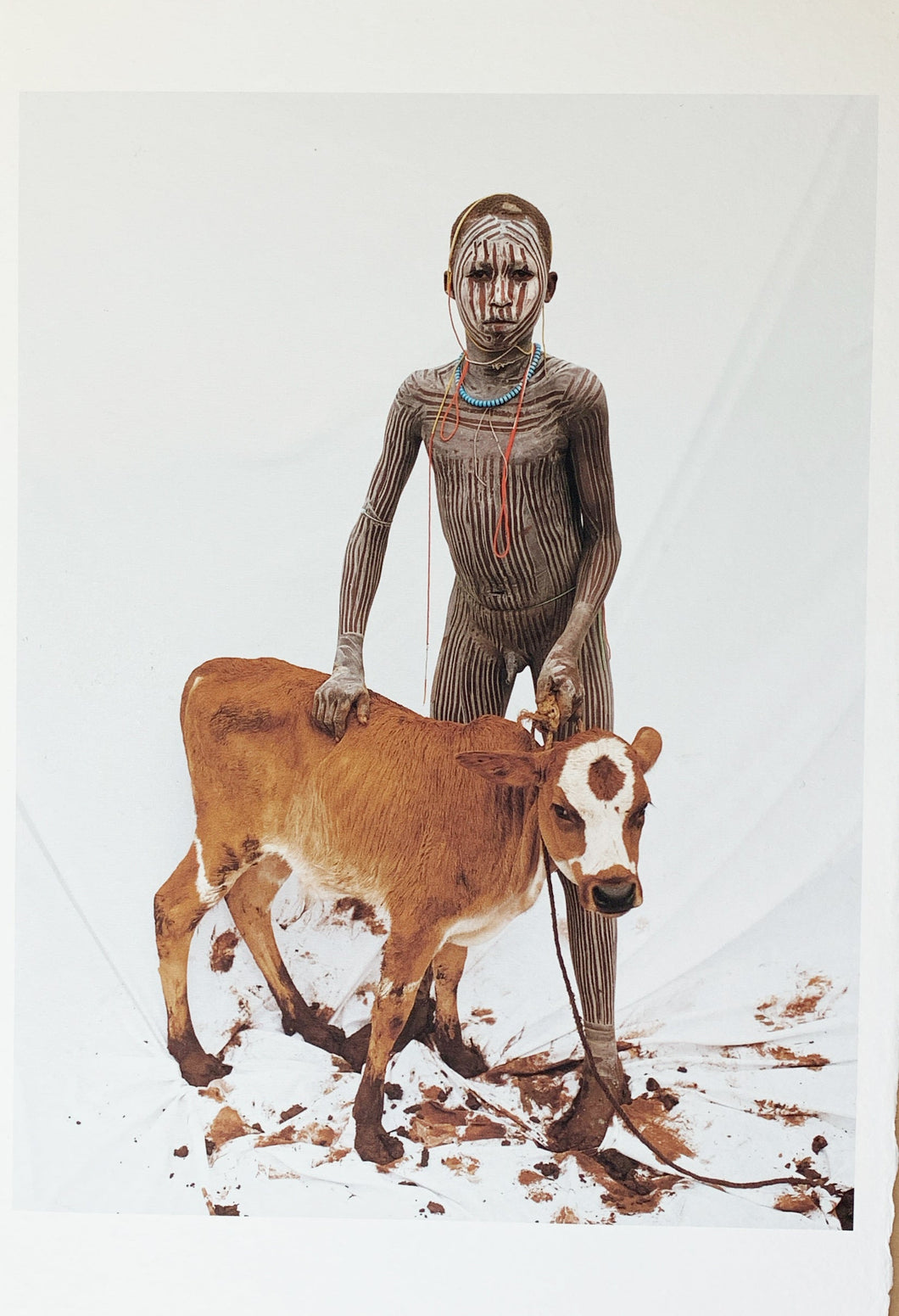 Boy with Calf by Jean-Michel Voge, A Tribal Child from the Omo Valley Ethiopia, Africa 1990s