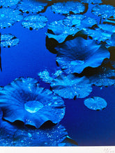 Load image into Gallery viewer, Blue Lotus, Japan  by Tadayuki Naito, Contemporary Japanese Color Photography
