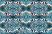 Load image into Gallery viewer, Double Helix by Roberta Fineberg, Contemporary Photography Inspired by Abstract Painting
