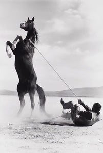 Mustang by Ernst Haas, Black-and-White Photography 1960s of Horse and Rider