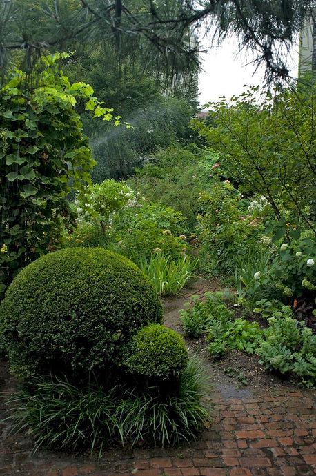 Paradise in New York City by Roberta Fineberg, Color Photograph of an Urban Oasis in Downtown Manhattan.