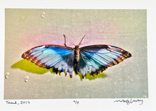 Load image into Gallery viewer, Tamed by Roberta Fineberg, Contemporary Color Photography of Butterflies
