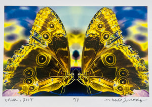 Union by Roberta Fineberg, Color Photograph of Butterfly Pair.