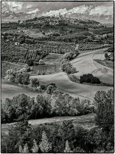 Vineyards by Hank Gans, San Gimignano, Tuscany, Black-and-White Landscape Photography